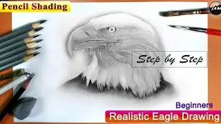 Eagle head Realistic Drawing easy | Pencil shading kaise banaye | Eagle ka sketch kaise kare