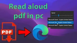 Read aloud pdf files in your pc 2021 | no external applications | windows 10