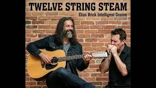 Twelve String Steam | 12-String Guitar & Harmonica Boogie - Elias Brick Intelligent Groove