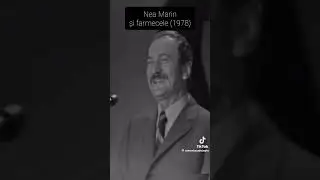 ✨️ AMZA PELLEA✨️...👍🤣🤣🤣💥