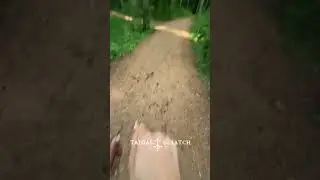 quadrobics jump pov #viral #foryou #quadrobics #quads #catmask #athlete #highjump #furry #pov #fyp