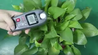 Обзор цифрового люксметра MT 30
