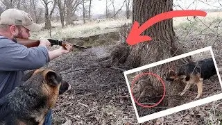 **Raccoon Catch Clean Cook** My First Time