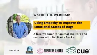 Using Empathy to Improve the Emotional State of Dogs | Hosted By: Shelters United and Rescue&trade;