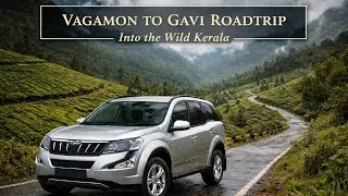 Vagamon to Gavi Check Post Road Trip | Forest Drive #roadtrip #gavi #vagamon #asmr #kerala #drive 