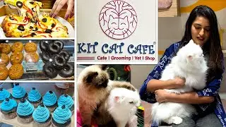 Explore Mumbai's Purr-fect Cat Cafe! Kit Cat Cafe, Versova