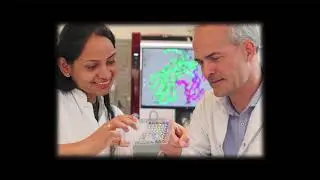 MHC Tetramer staining