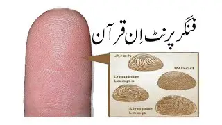 Fingerprints in Quran || Fingerprints || B's Informative TV