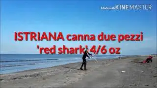 Canna due pezzi ISTRIANA Red Shark 4/6 oz
