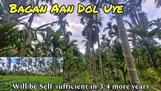 Aama Sugori Bagan aan | I left or don't do job to do permaculture | Commercial Farming | Arecanut s