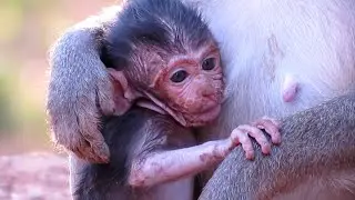 O.M.G..! very pity😥baby Dirt on the ground face