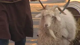 Annual Bockfest kicks off Friday in Over-the-Rhine