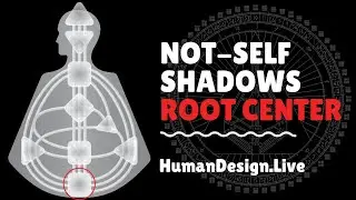 Root Center Undefined Shadow State - Human Design System