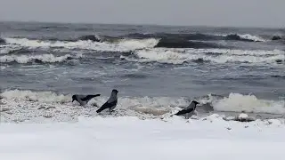 Jurmala - Lettonia