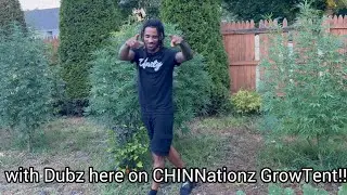 Growing With Dubz S5 Ep.3 Vegging in the 3x3 with an outdoor sneakpeak
