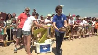 Limpieza y suelta playa Puçol