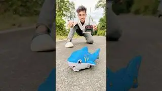 ￼ mini toy dolphin 🐬 Deko 😛