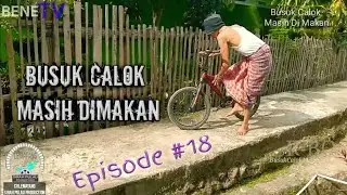 Episode #18 -Mini Sinetron Daerah Lahat || BUSUK CALOK MASIH DIMAKAN || MANG BENE