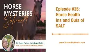 Ins and Outs of SALT
