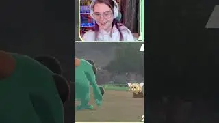 PLEASE NOTICE YOUR SHINY STUFFUL | #elainamonster on #Twitch