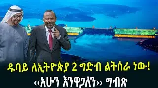 ዱባይ ለኢትዮጵያ 2 ግድብ ልትሰራ ነው ‹‹አሁን እንዋጋለን›› ግብጽ February 2, 2026