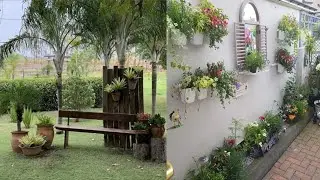 DIY Garden Ideas, Garden Makeover Ideas, Easy Coriander Cultivation Ideas at Home