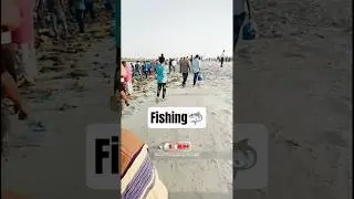 Fishing 🦈 Jubail! Saudi Arabia #fishing #viralvideo #fishingvideo #vialshorts