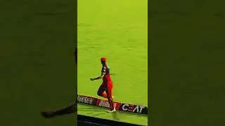 Angel of the cricket | #ellyseperry #womencricket #ipl #shortvideo