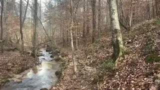 Treadmill Walking Videos YouTube |Walking videos exercise |Nature video for treadmill walk