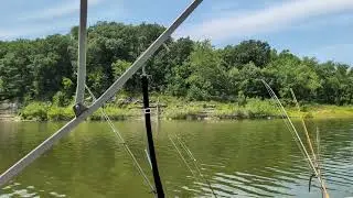 Cruisin the lake! #caglesmill #lakelife #shorts #short