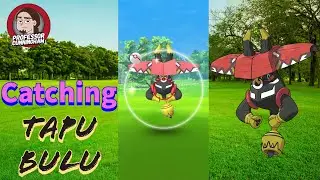 How to catch Tapu Bulu | Pok&eacute;tutorials