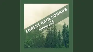 Calming Background Sounds