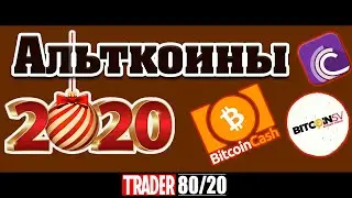 Альткоины 2020 (BCH, BSV, BTT)