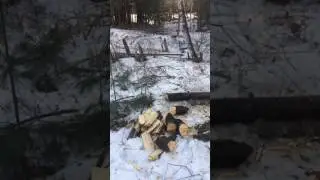 Day one:  Cordwood Challenge