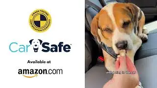Three tips for making your dog comfortable in the car.