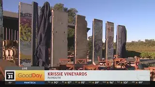 Krissie Vineyards in Plymouth