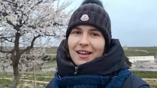 Сап 2. Настройка Яндекс-переводчика в WordFast Anywhere 2020