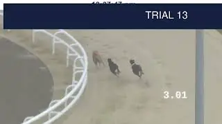 Dunstall Park Trials on 27th August 2025