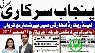 Latest Punjab Government Jobs 🚨 Board of Revenue Jobs 2025 | Apply Now