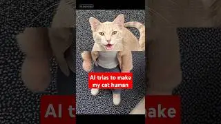 AI Cat to Human  Filter Gone Wrong  #cat #cats #catshorts #catcontent #catvideos #catlovers