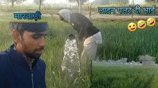 खेत मे लाइन पलट दी खेत में पाइप लाइन पलटते हु#vlog ❤️‍🔥dasy. Boy. 