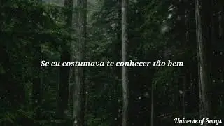 Paramore - Decode (tradução)