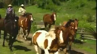 How to Book a Dude Ranch Vacation