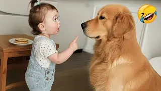 When your dog sees you as their most precious treasure. 💎