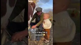 Cum dă lapte vaca, tataie? 😂 #shortvideo #funny #baby #viralvideo
