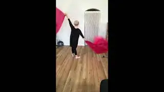 Easy Flag Move Airplane Flip