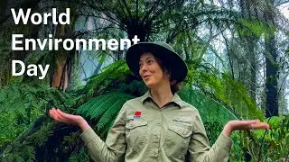 World Environment Day with Saving our Species