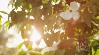 Ani Hu Chant - Meditation, Healing Chanting