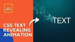 CSS Text Revealing Animation Using HTML And CSS | Web Design