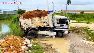 Full Video, Land filling, Bulldozer KOMATSU D31P, Dump Truck 5Ton Unloading